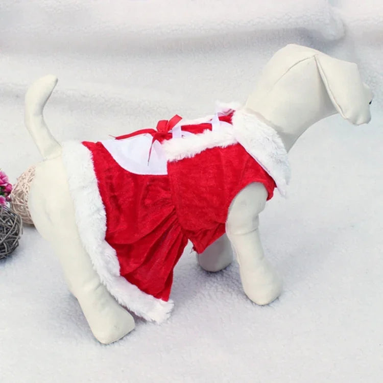 Pet Apparel