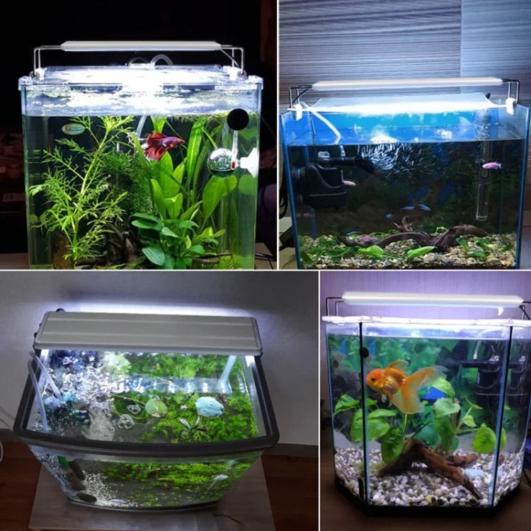 XY-30K 水槽用ガラス魚タンク LED 水中ブラケットランプ、USプラグ、XY-30K