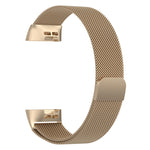 Stainless Steel Magnet Watch Band for FITBIT Charge 3, Size:Large, 217x18mm