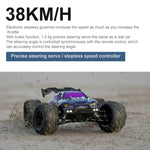 SCY-16101 2.4G 1:16 電動4WD RCモンスタートラック クーペカーおもちゃ、SCY-16101 / ブルー