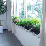 植物壁 垂直屋内および屋外バルコニー壁掛け花鉢 創造的な樹脂プラスチック製花鉢の組み合わせ 取り外し可能な鉢付き