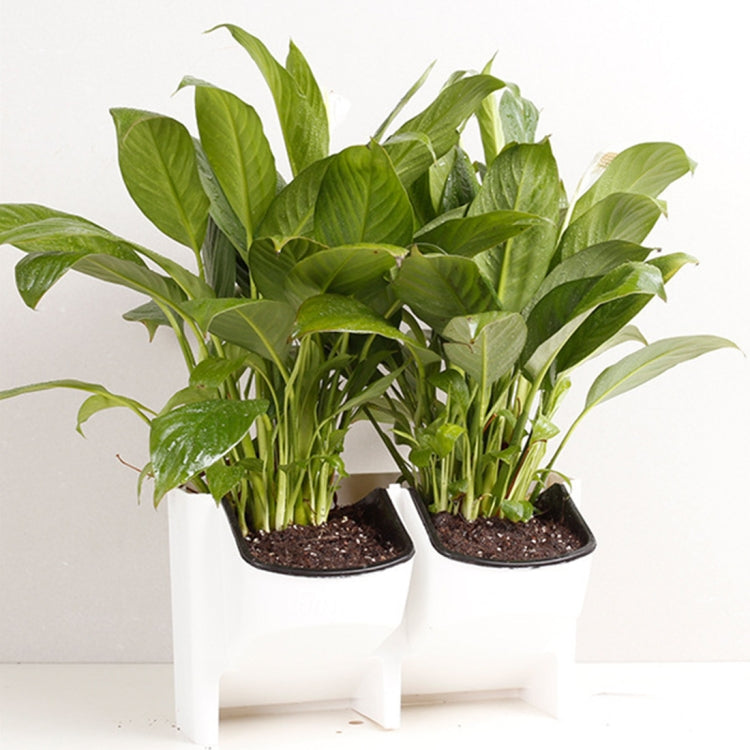 植物壁 垂直屋内および屋外バルコニー壁掛け花鉢 創造的な樹脂プラスチック製花鉢の組み合わせ 取り外し可能な鉢付き