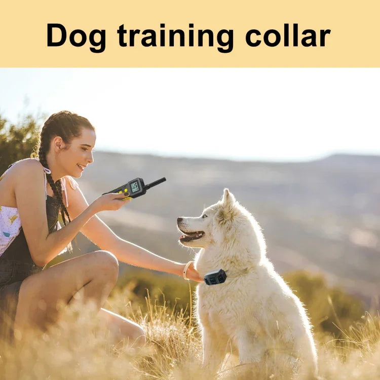 Tsattine T10 IP68防水2000フィート犬トレーニング装置LCDライト付き、T10