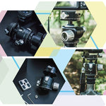 FITTEST X4 低重心 高ロック力 パノラマボールヘッド クイックリリースプレート付き DSLR＆デジタルカメラ用 最大荷重10kg YT040 X4