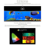 SEETEC 4K215-9HSD-CO 1920x1080 21.5インチ SDI / HDMI フルHD ディレクターボックス カメラフィールドモニター, 4K215-9HSD-CO