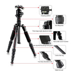 TRIOPO T259G+Q2 調整可能ポータブルカーボンファイバートライポッド Q-2 ボールヘッド付き SLRカメラ用, T259G+Q2
