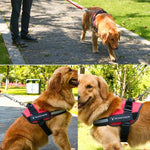 ペット犬用アンチスプリントオックスフォード布製K9チェストストラップ牽引ロープストラップ、Mは13-23kg用、Lは23-30kg用、XLは28-40kg用、XXLは40-70kg用、Sは6-14kg用
