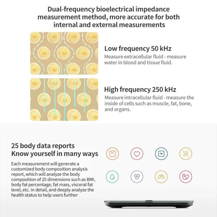 Xiaomi Mijia 体脂肪計 S400 Pro