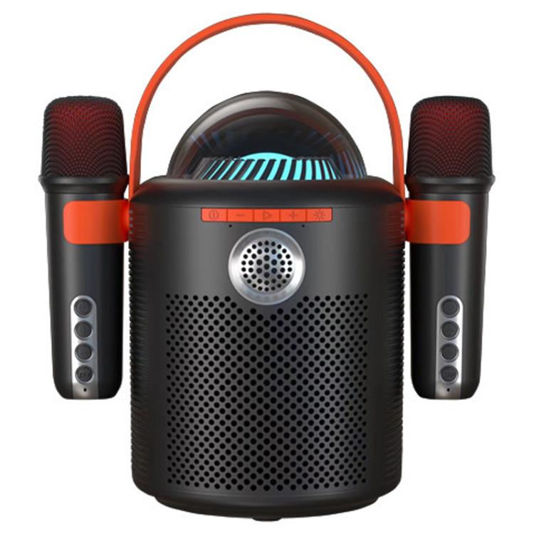 Lebo Y11 アウトドアポータブルワイヤレスカラオケデュアルマイクBluetoothスピーカー