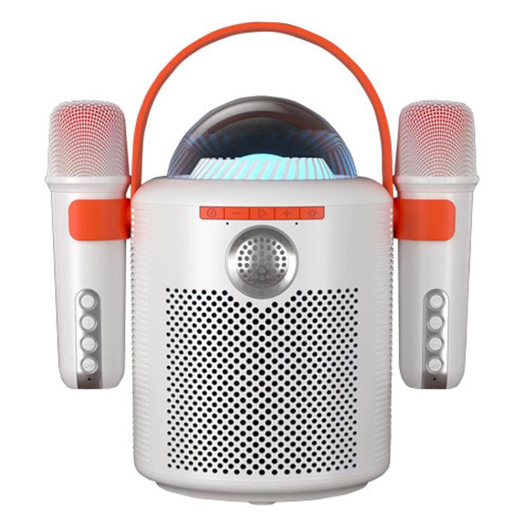 Lebo Y11 アウトドアポータブルワイヤレスカラオケデュアルマイクBluetoothスピーカー