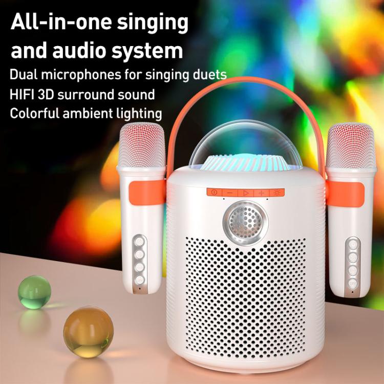 Lebo Y11 アウトドアポータブルワイヤレスカラオケデュアルマイクBluetoothスピーカー