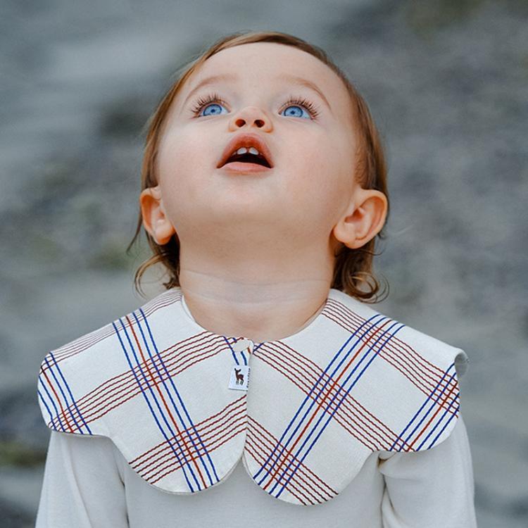 نص بديل للصورة