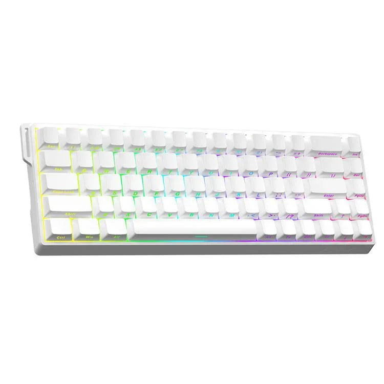 AULA WIN68HE スタンダードバージョン 68キー RGB 有線キーボード、WIN68HE サイドプリント ホワイト グレー ウッド 磁気軸