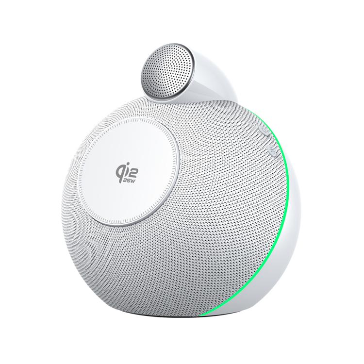 نص بديل للصورة