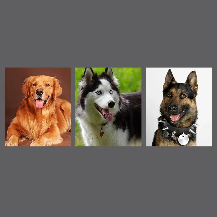 牛革トラクションベルト犬用首輪伸縮式犬用ロープ、中型・大型犬用、M、ロープ長さ: 128cm 首輪サイズ: 32-44cm
