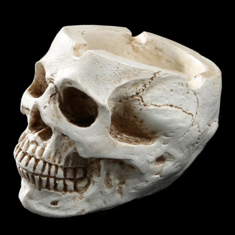 نص بديل للصورة