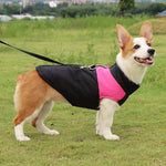 ペット用犬綿ベスト スキー服、サイズ：5XL、胸囲：68cm、背丈：60cm、サイズ：5XL