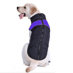 ペット用犬綿ベスト スキー服、サイズ：5XL、胸囲：68cm、背丈：60cm、サイズ：5XL