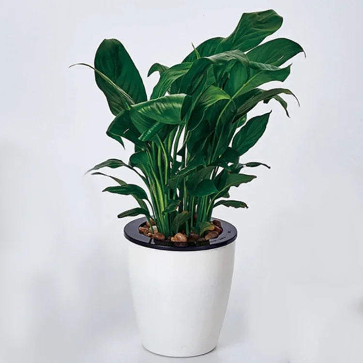 自動給水式ハイドロポニック鉢 植物用円形樹脂プラスチック鉢 ダブルレイヤーデザイン 直径: 13cm 高さ: 13.7cm