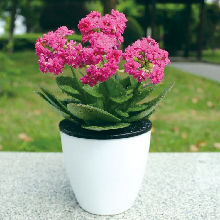 自動給水式ハイドロポニック鉢 植物用円形樹脂プラスチック鉢 ダブルレイヤーデザイン 直径: 13cm 高さ: 13.7cm