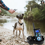 自動防止吠え首輪 ペットトレーニングコントロールシステム＋電気ショックPUレザー首輪 犬用、PD520
