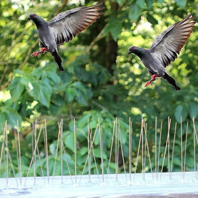5個セット 鳥よけ 50cm ステンレス製釘 鳥用スパイク SK411