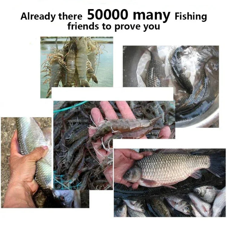 4穴自動折りたたみ式釣りネット ナイロンエビ・カニ・ミノートラップ 魚投げ網 釣りタックル、4穴