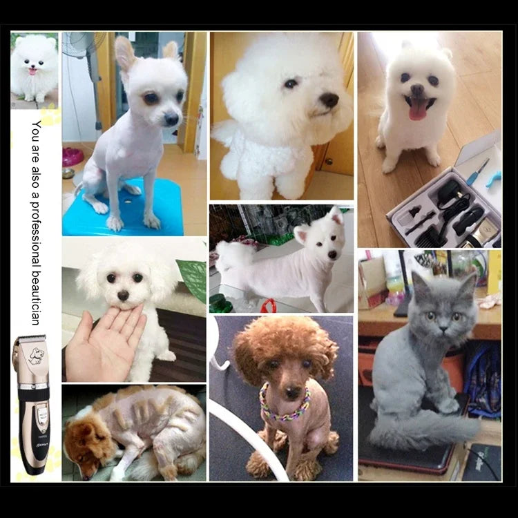 P2 110-240V セラミックチタン プロフェッショナルペット電動はさみ ペット用ヘアクリッパー 四つのコーム付き、セラミックチタンはさみ