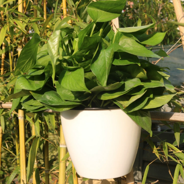 セルフウォータリングプランター 植物育成用 レイジーフラワーポット 壁掛け丸型樹脂プラスチック製フラワーポット、サイズ：18x12.5x16cm