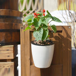 セルフウォータリングプランター 植物育成用 レイジーフラワーポット 壁掛け丸型樹脂プラスチック製フラワーポット、サイズ：18x12.5x16cm
