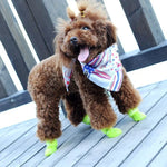 かわいいペット犬用シューズ 子犬用キャンディーカラーラバーブーツ 防水レインシューズ、M、サイズ：5.0 x 4.0cm、サイズ：M 5.0 x 4.0cm、サイズ：5.0 x 4.0cm