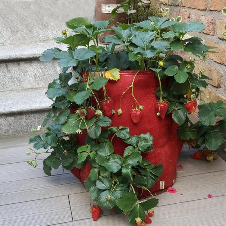 3ポケット 18L / 5ガロン 不織布いちご栽培バッグ、サイズ：23X28cm、サイズ：23X28cm