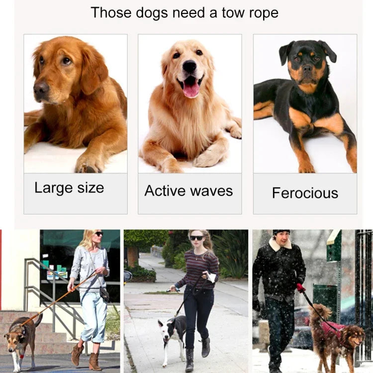 ペット犬用ナイロン夜間反射通気性ハンドヘルド牽引リード、サイズ：M、調節範囲：2.5*(100-140cm)、サイズ：M、調節範囲：2.5*(100-140cm)