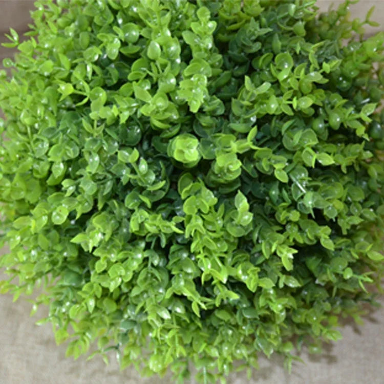 نص بديل للصورة