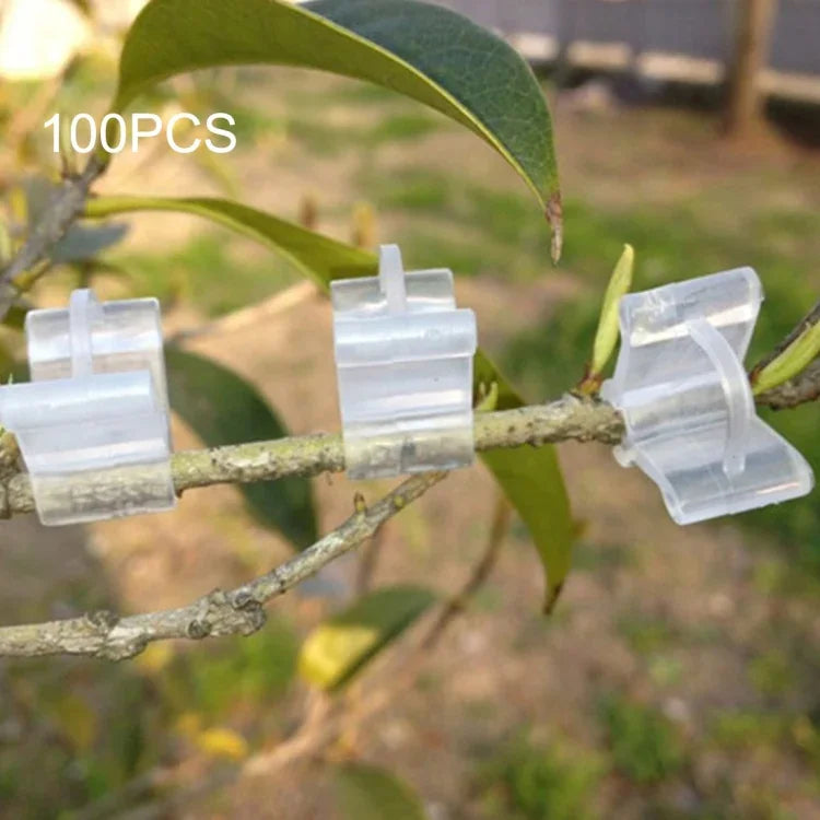 100個 植物接ぎ木用ガーデニングプラスチック接ぎ木フォルダー 接ぎ木クリップ 透明 ガーデニングプラスチック接ぎ木クリップ トマト用接ぎ木クリップ 植物接ぎ木クリップ