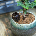 盆栽用園芸ツール 10個セット 盆栽肥料ボックス 大サイズ：5.5*4*4cm、サイズ：L 5.5*4*4cm、グリーン