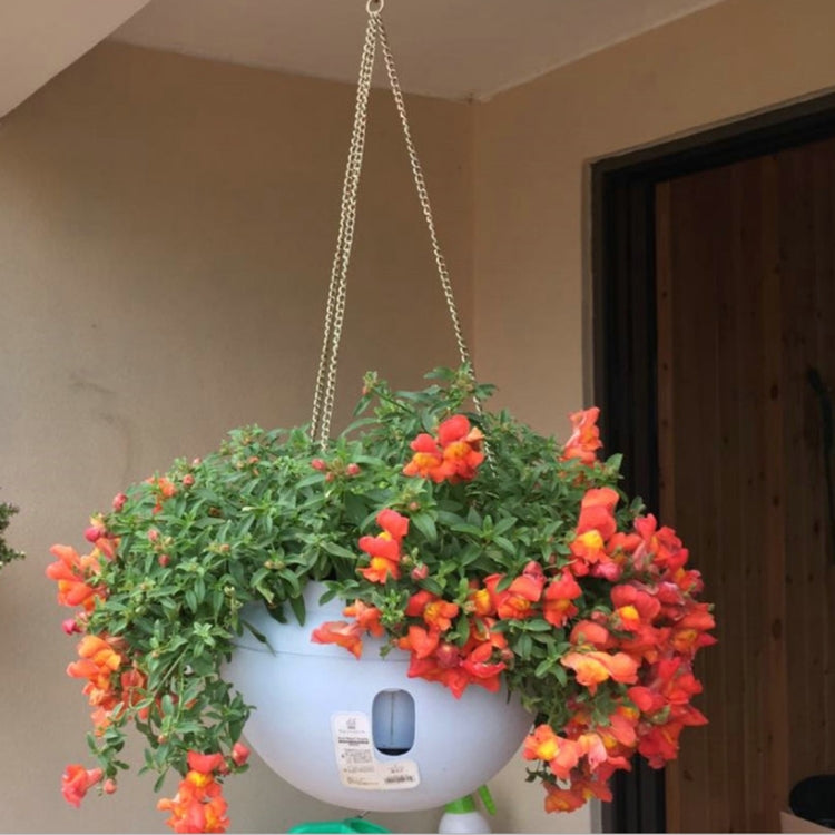 吊り下げプラスチック花鉢 吊り下げ鉢 吊り下げチェーン付き花鉢 大サイズ: 24 x 18cm ランダムカラー配送, 大サイズ