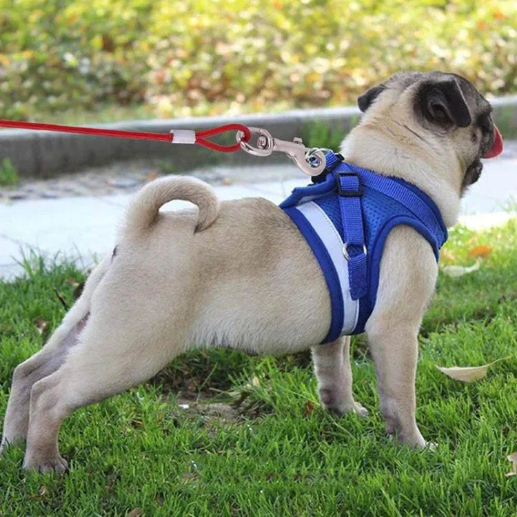 両端スチールワイヤーロープペット犬用2in1トラクションロープペット散歩用リードハンドル付き、長さ: 3m、ランダムカラー配送、長さ: 3m