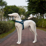 ペット犬用A7反射性ポリエステル胸ハーネスリードトラクション大犬用安全チェーンロープ首輪、サイズ: L、2.5*68*84cm、サイズ: L、2.5*68*84cm