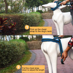 ペット犬用A7反射性ポリエステル胸ハーネスリードトラクション大犬用安全チェーンロープ首輪、サイズ: S、2.0*50*62cm、サイズ: S、2.0*50*62cm