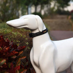 ペット犬用ポリエステル反射通気性ペットカラー牽引リード、サイズ：S、2.0*35*40cm、サイズ：S、2.0*35*40cm