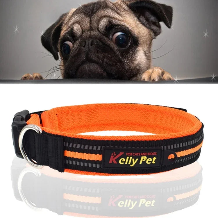 ペット犬用ポリエステル反射通気性ペットカラー牽引リード、サイズ：S、2.0*35*40cm、サイズ：S、2.0*35*40cm