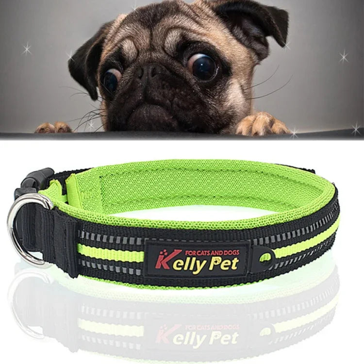 ペット犬用ポリエステル反射通気性ペットカラー牽引リード、サイズ：S、2.0*35*40cm、サイズ：S、2.0*35*40cm