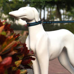 ペット犬用ポリエステル反射性通気性ペット首輪トラクションリード、サイズ: M、2.5*42*47cm、サイズ: M、2.5*42*47cm
