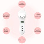 Multi-functional Household Beauty and Body Apparatus Facial Ion Importer