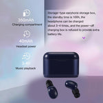 DT-4 IPX防水 Bluetooth 5.0 ワイヤレスBluetoothイヤホン 350mAh磁気充電ケース付き 通話対応, DT-4