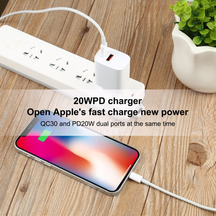 100W USB-C / Type-C から 8ピン高速充電データケーブル、長さ：1m、1m Type-C から 8ピン