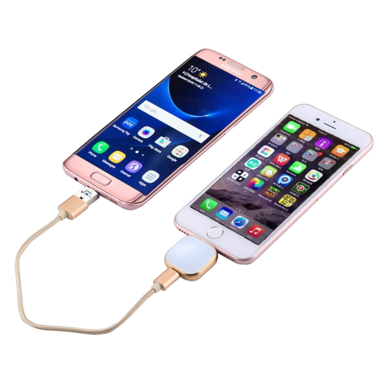 RQW-18S 8ピン 64GB 多機能フラッシュディスクドライブ USB / Micro USB to Micro USB ケーブル付き、RQW-18S ゴールド