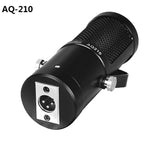 AQ-210 Kソング ライブ録音 コンデンサーマイク