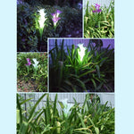 模擬ユリの花 4灯 ソーラー駆動屋外 IP55防水 LED装飾芝生ランプ ホワイトライト